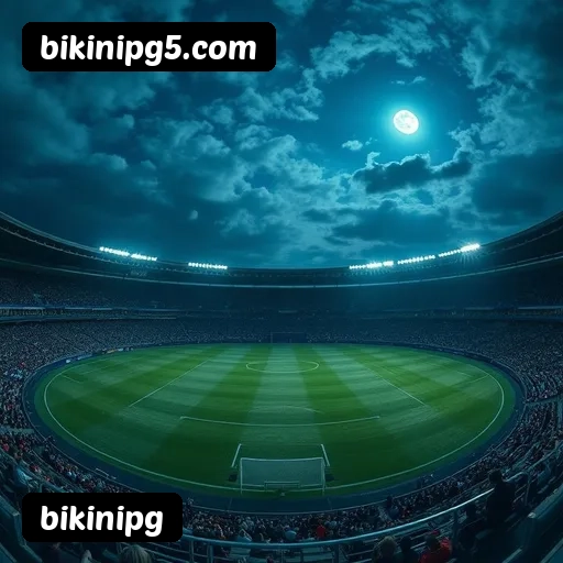 Estatísticas bikinipg novembro 2024 - 87 mil jogadores ativos, R$47M pagos, RTP 96.52%